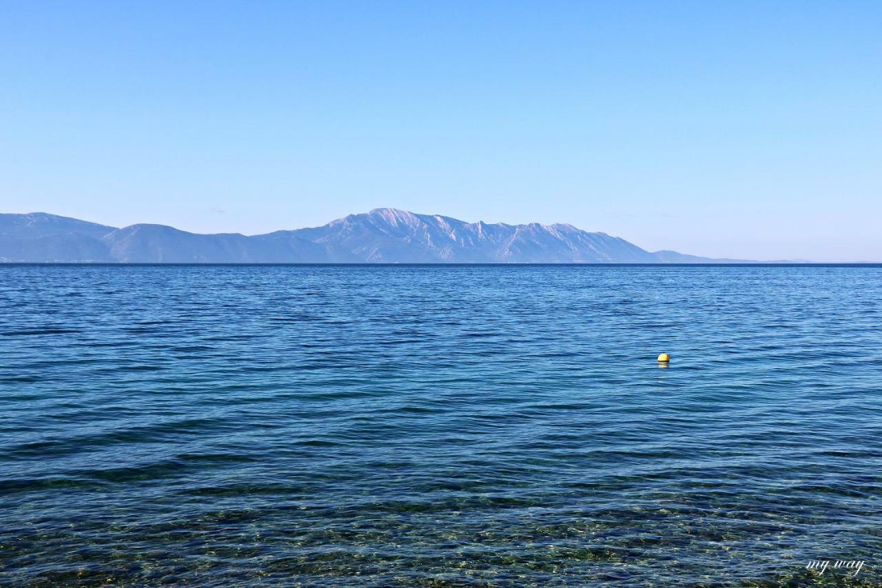 Apartment Family Gradac (Split-Dalmatia)